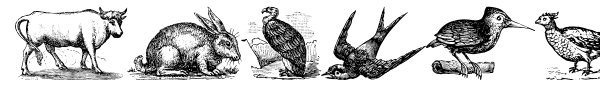 Animals Old Cuts font preview